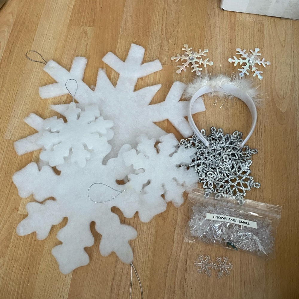 ⭐️Snowflake Costume!⭐️